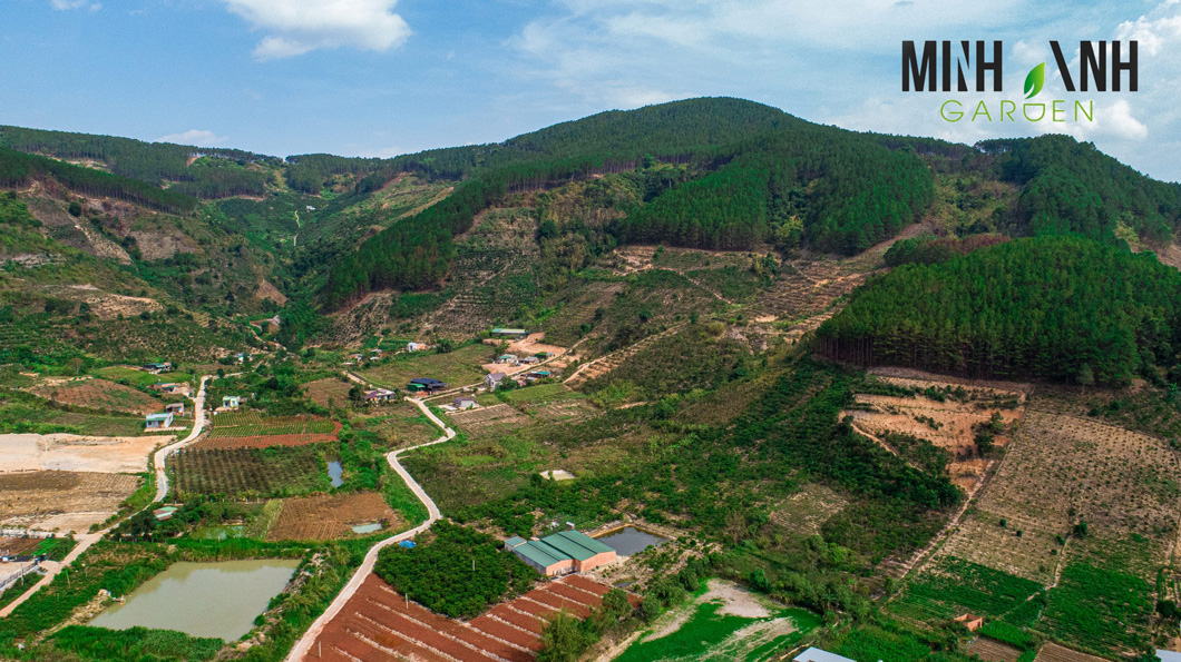 Đất nền Bảo Lộc Lâm Đồng ‘hút’ giới đầu tư nhờ yếu tố ‘đất nền giá rẻ’